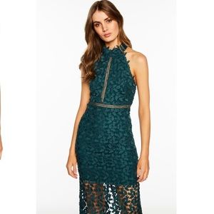 Bardot Gemma Halter Lace Sheath Dress NWT